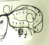 gmefi001043.jpg